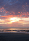 Judithd website