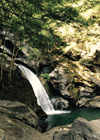 Sundance Vacations Pam k website